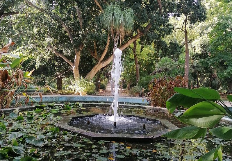 Orto Botanico di Cagliari, Cagliari, Italy, Italy